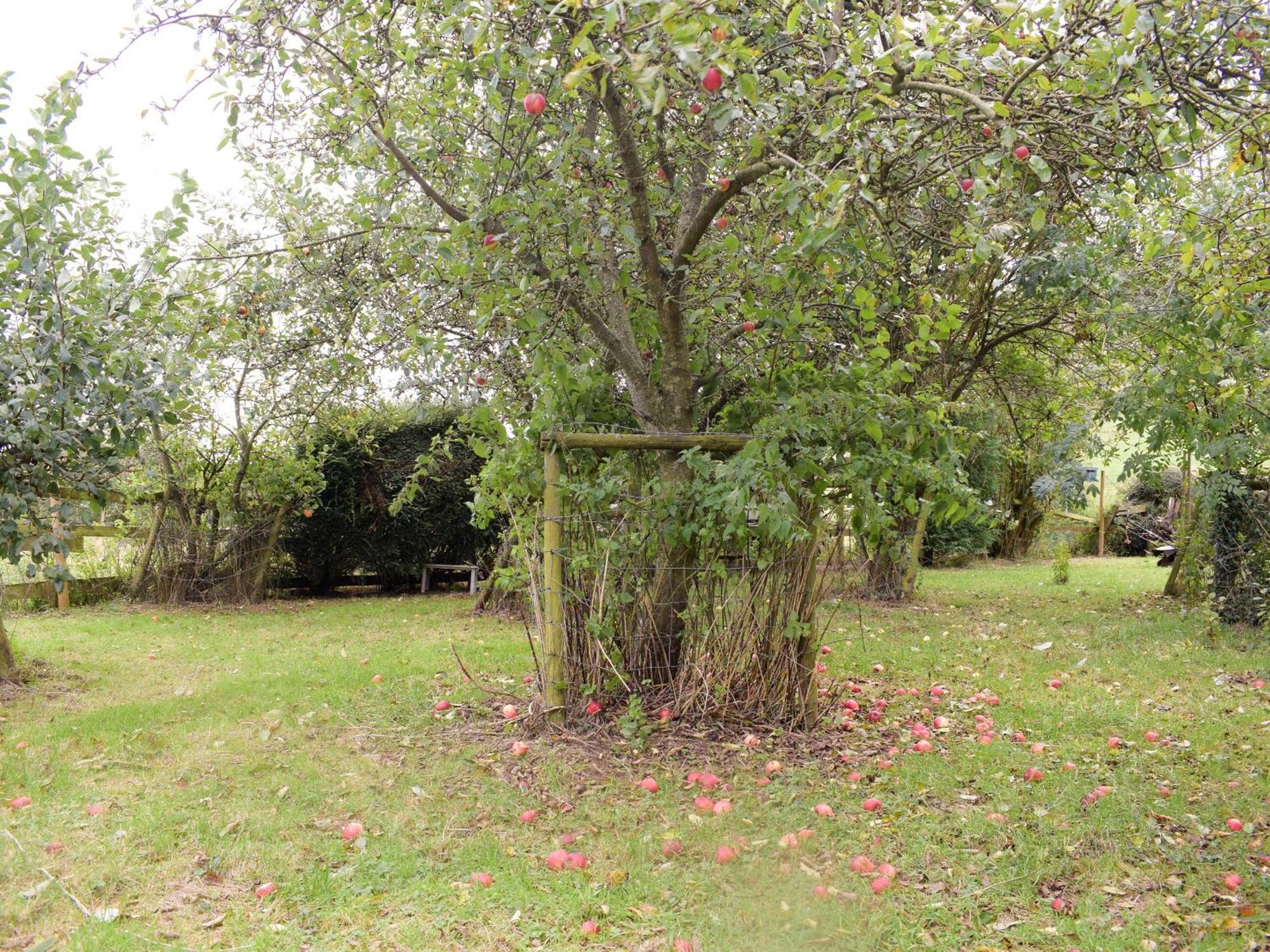 Doward Farm